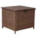 ALEGRO 3 (97).png