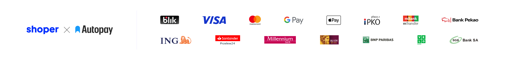 Blik + karty + portfele elektroniczne + PIS + przelew + płatności odroczone + raty 1215x200 bank pay